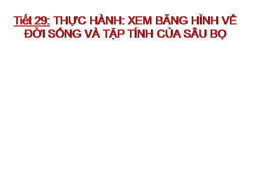 Bài 28. Thực hành: Xem băng hình về tập tính của sâu bọ