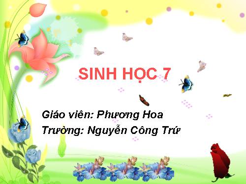 Bài 20. Thực hành: Quan sát một số thân mềm