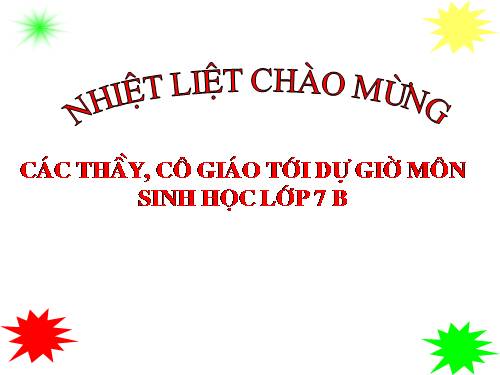Bài 29. Đặc điểm chung và vai trò của ngành Chân khớp