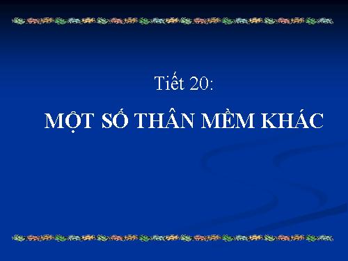 Bài 19. Một số thân mềm khác