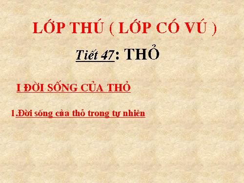 Bài 46. Thỏ