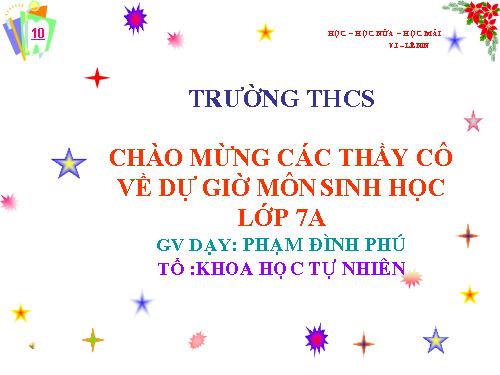 Bài 22. Tôm sông