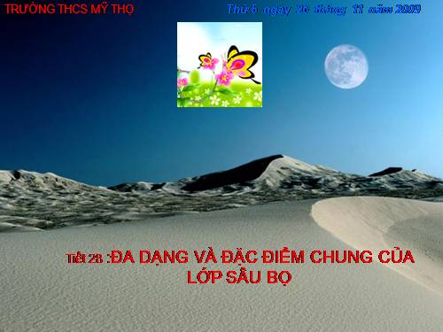 Bài 27. Đa dạng và đặc điểm chung của lớp Sâu bọ