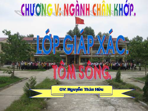 Bài 22. Tôm sông