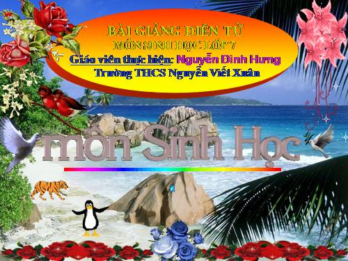 Bài 28. Thực hành: Xem băng hình về tập tính của sâu bọ