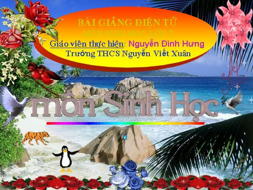 Bài 15. Giun đất