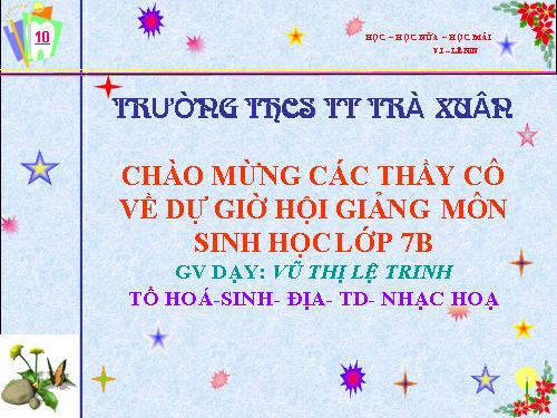 Bài 22. Tôm sông