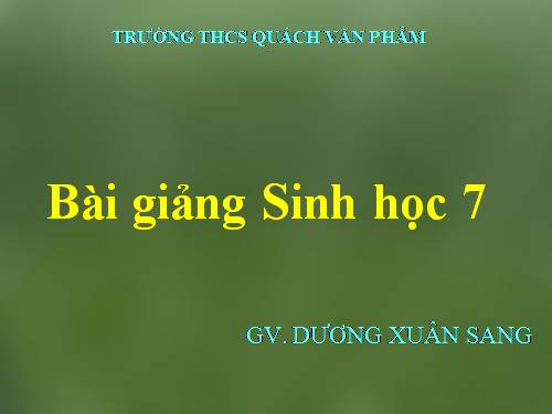 Bài 25. Nhện và sự đa dạng của lớp Hình nhện