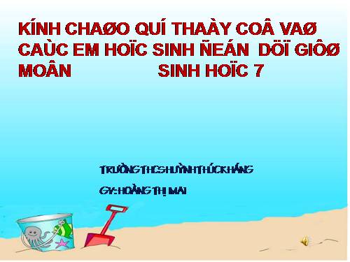 Bài 24. Đa dạng và vai trò của lớp Giáp xác