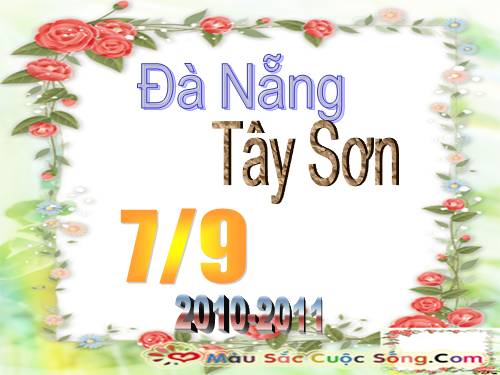 Một số thân mềm khác ( hình ảnh )