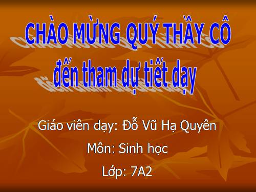 Bài 47. Cấu tạo trong của thỏ