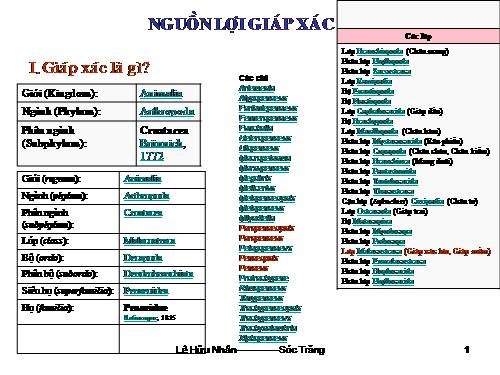 Bài 24. Đa dạng và vai trò của lớp Giáp xác