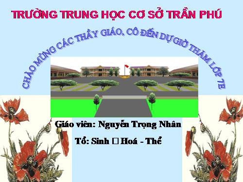 Bài 22. Tôm sông