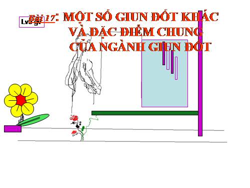 Bài 17. Một số giun đốt khác và đặc điểm chung của ngành Giun đốt