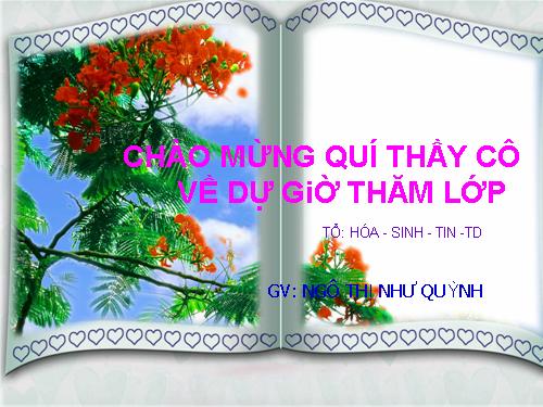 Bài 18. Trai sông