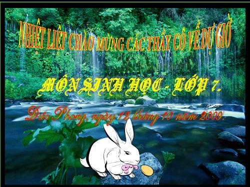 Bài 15. Giun đất