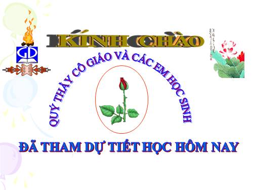 Bài 29. Đặc điểm chung và vai trò của ngành Chân khớp