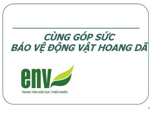 CUNG GOP SUC BAO VE DONG VAT HOANG DA
