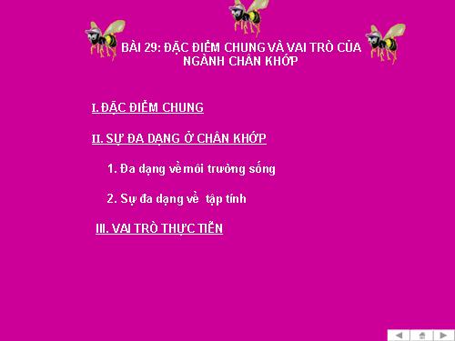 Bài 29. Đặc điểm chung và vai trò của ngành Chân khớp