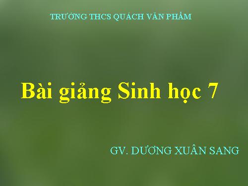 Bài 25. Nhện và sự đa dạng của lớp Hình nhện