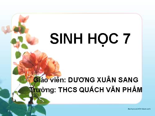 Bài 2. Phân biệt động vật với thực vật. Đặc điểm chung của động vật