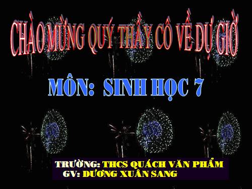 Bài 41. Chim bồ câu