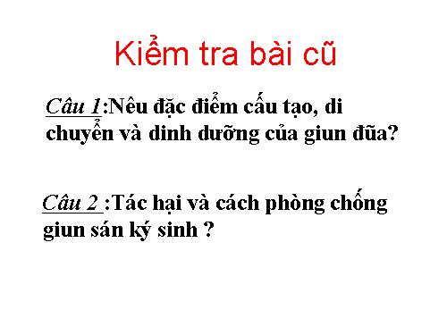 Bài 14. Một số giun tròn khác và đặc điểm chung của ngành Giun tròn