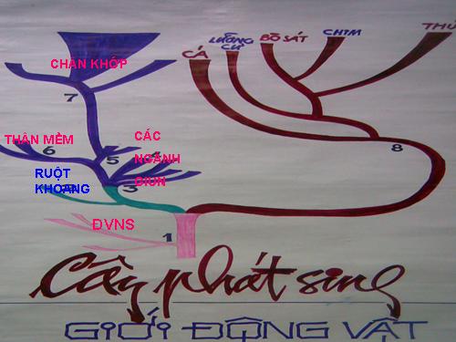 Bài 8. Thủy tức