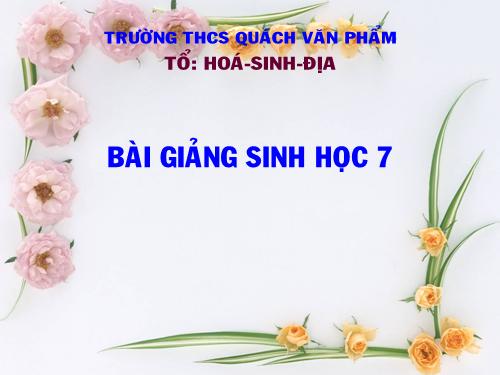 Bài 26. Châu chấu