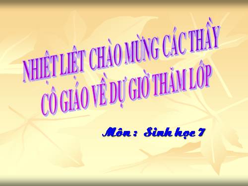 Bài 15. Giun đất