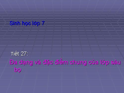 Bài 27. Đa dạng và đặc điểm chung của lớp Sâu bọ