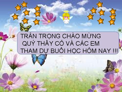 Bài 17. Một số giun đốt khác và đặc điểm chung của ngành Giun đốt