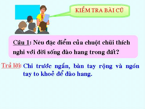 Bài 51. Đa dạng của lớp Thú: Các bộ Móng guốc và bộ Linh trưởng