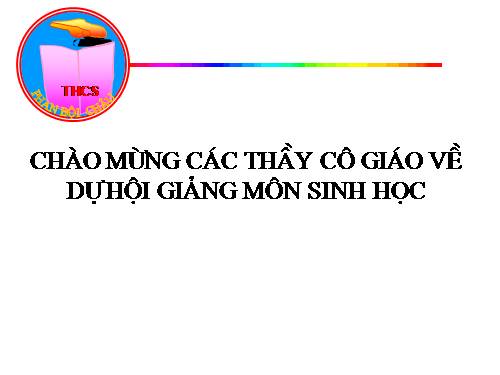 Bài 29. Đặc điểm chung và vai trò của ngành Chân khớp
