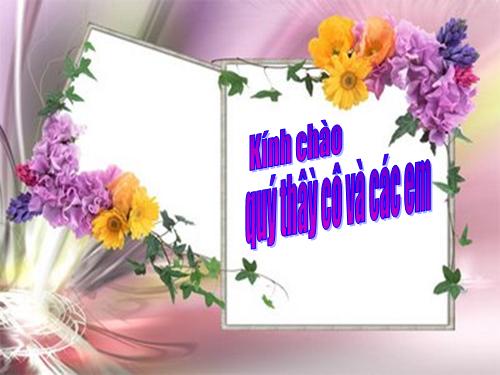 Bài 17. Một số giun đốt khác và đặc điểm chung của ngành Giun đốt