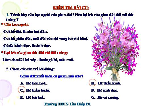 Bài 17. Một số giun đốt khác và đặc điểm chung của ngành Giun đốt