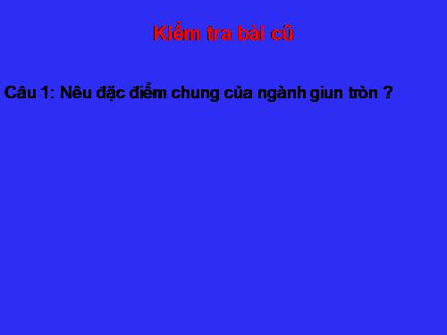 Bài 15. Giun đất