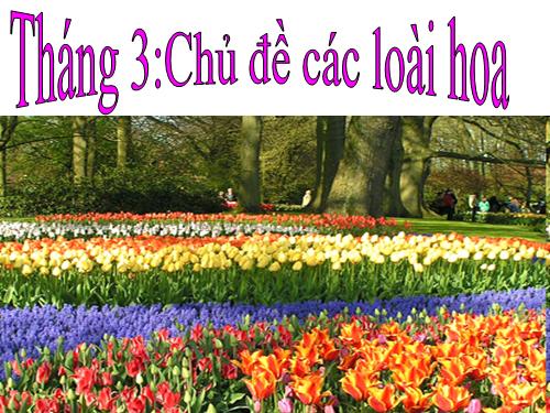 Các loài hoa