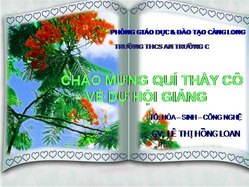 Bài 18. Trai sông