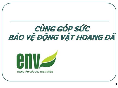 CÙNG GÓP SỨC BẢO VỆ ĐỘNG VẬT HOANG DÃ