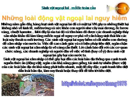 Khiếp sợ vì SINH VẬT NGOẠI LAI hay vì  ...