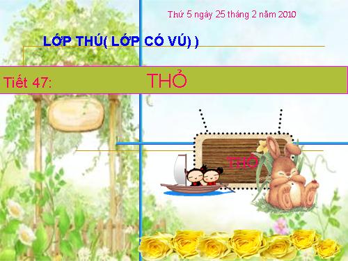 Bài 46. Thỏ