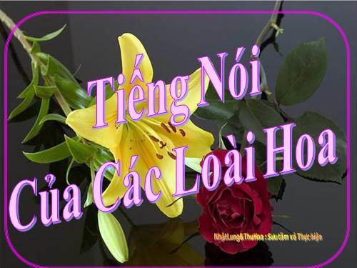 Tieng noi cac loai hoa