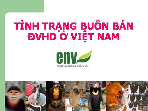 TÌNH TRẠNG BUÔN BÁN ĐỘNG VẬT HOANG DÃ Ở VIỆT NAM