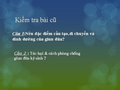 Bài 14. Một số giun tròn khác và đặc điểm chung của ngành Giun tròn