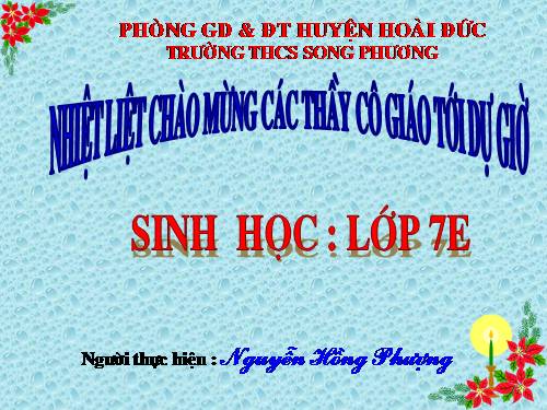 Bài 13. Giun đũa