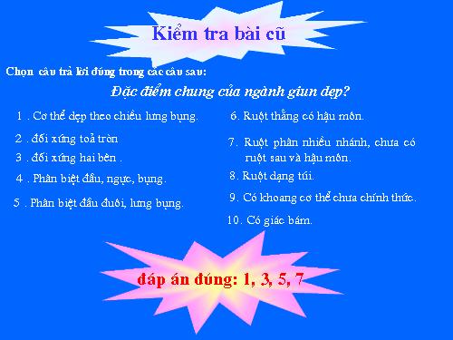 Bài 13. Giun đũa