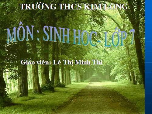 Bài 17. Một số giun đốt khác và đặc điểm chung của ngành Giun đốt