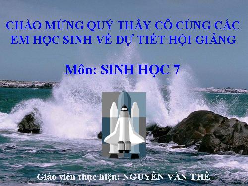 Bài 18. Trai sông