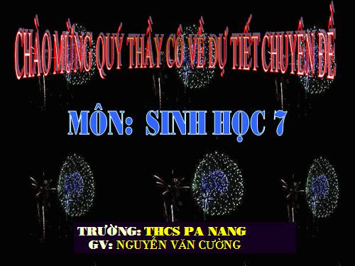Bài 41. Chim bồ câu